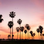 The Best Gardens in Barbados